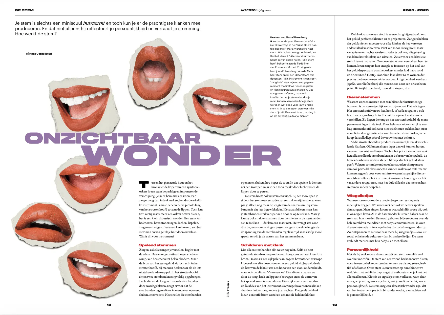 Screenshot of the article Onzichtbaar wonder