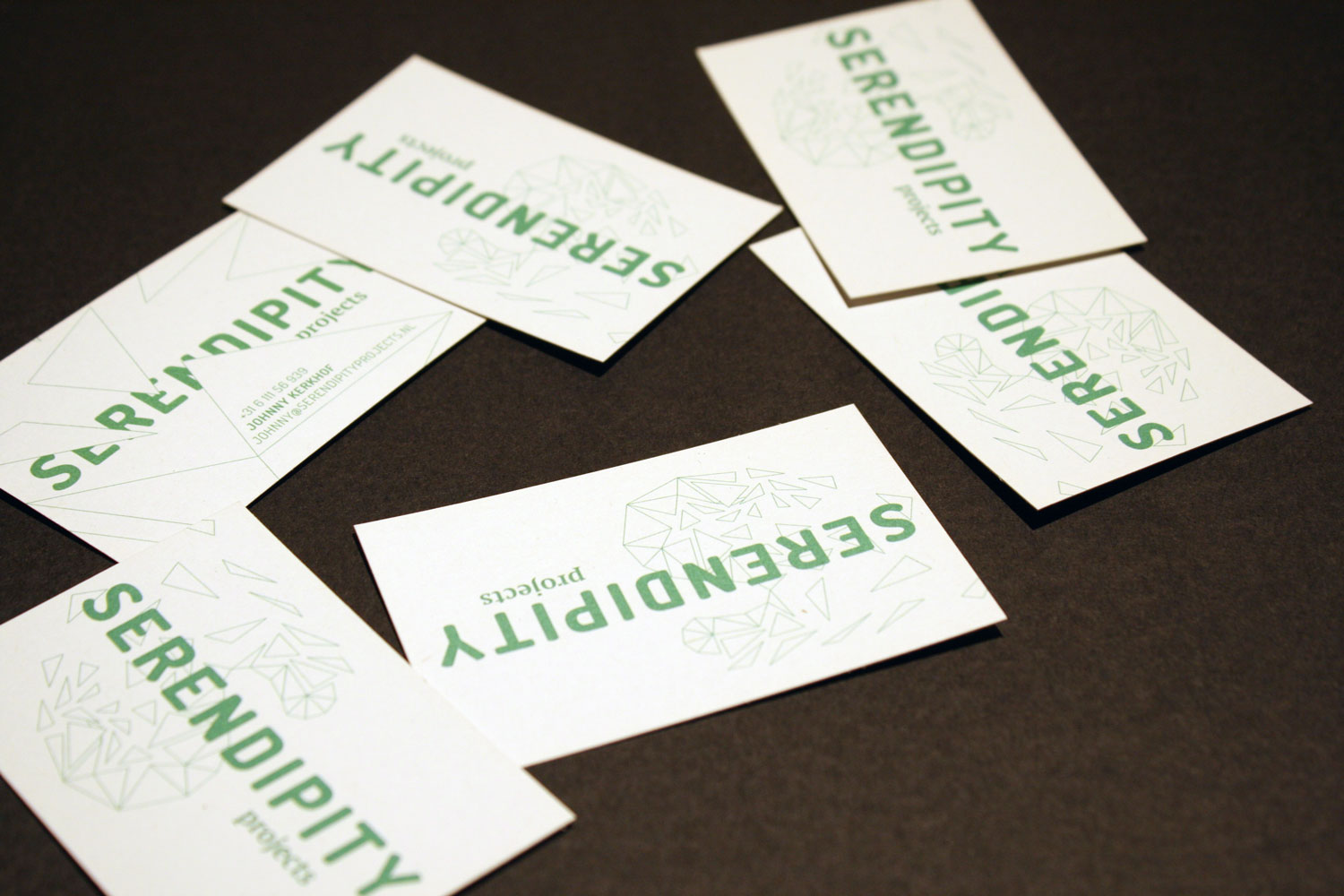 Serendipity Projects